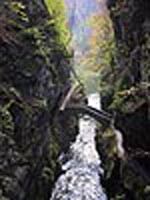 Gorges de l'Areuse